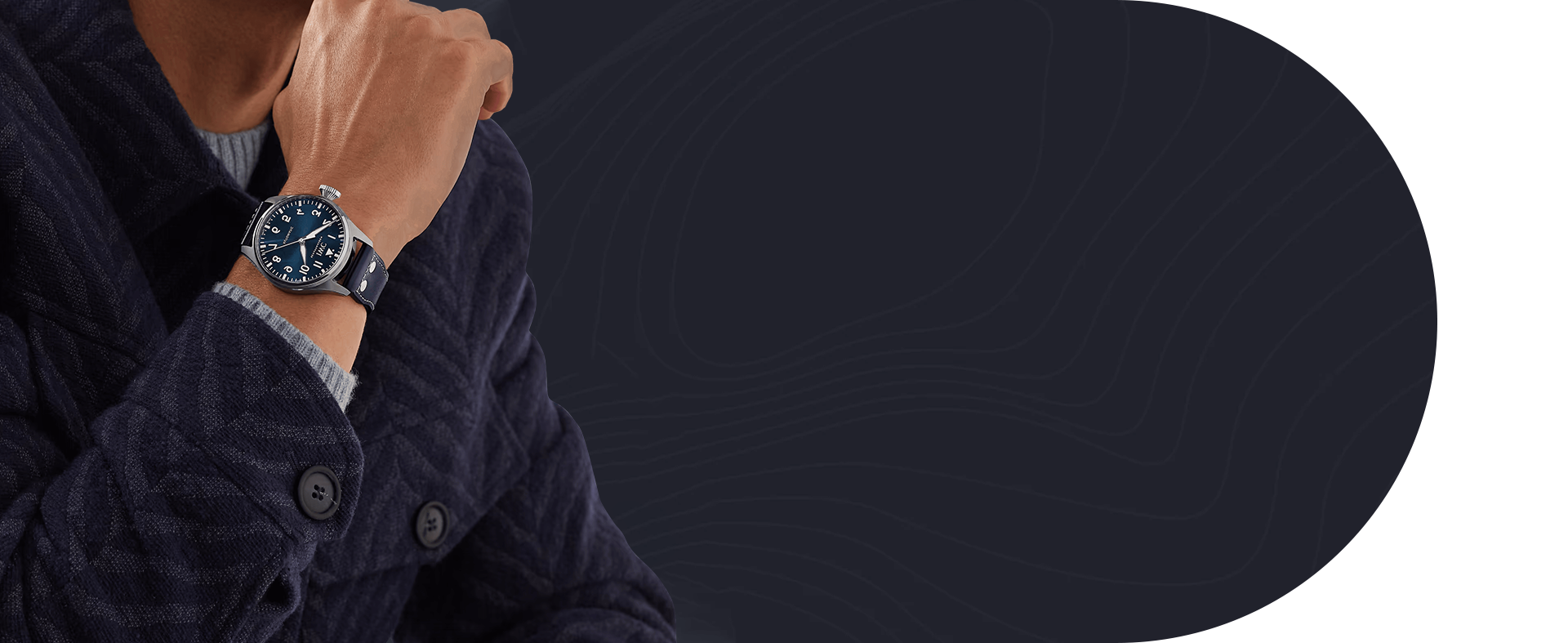 banner of IWC Alligator strap